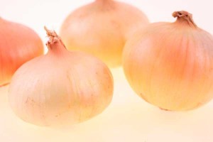 CEBOLLA